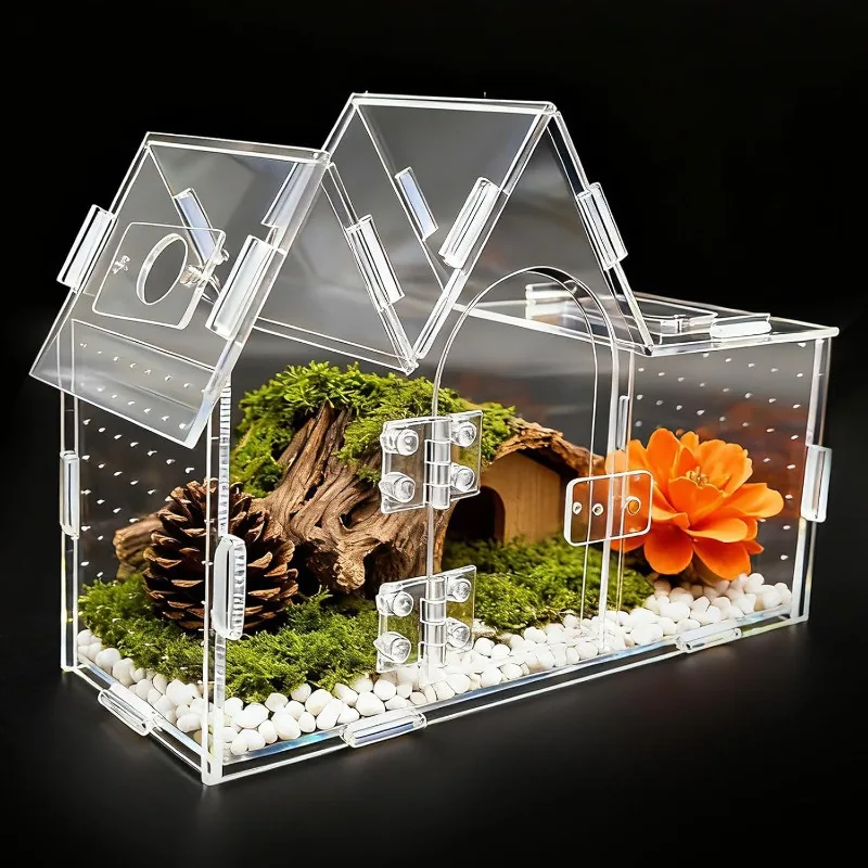 Transparent Acrylic Reptile Terrarium 1