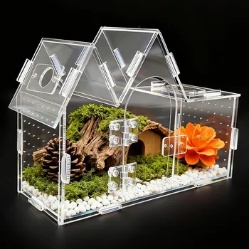 Transparent Acrylic Reptile Terrarium 1