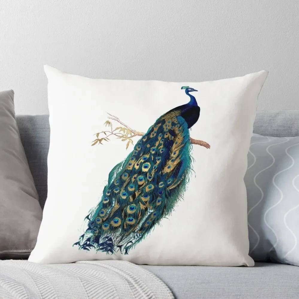 

Vintage Peacock, Teal Throw Pillow Christmas Throw Pillows Covers Cushions For Decorative Sofa pillow cover luxury