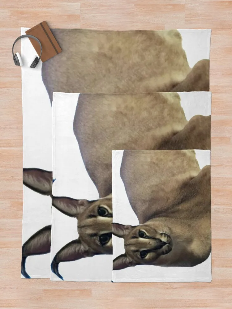 ū �÷��� ��� ���� ���