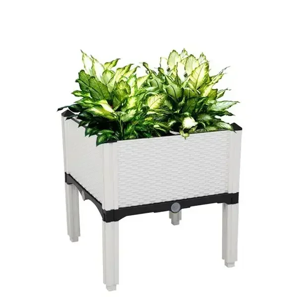 2PCS -50