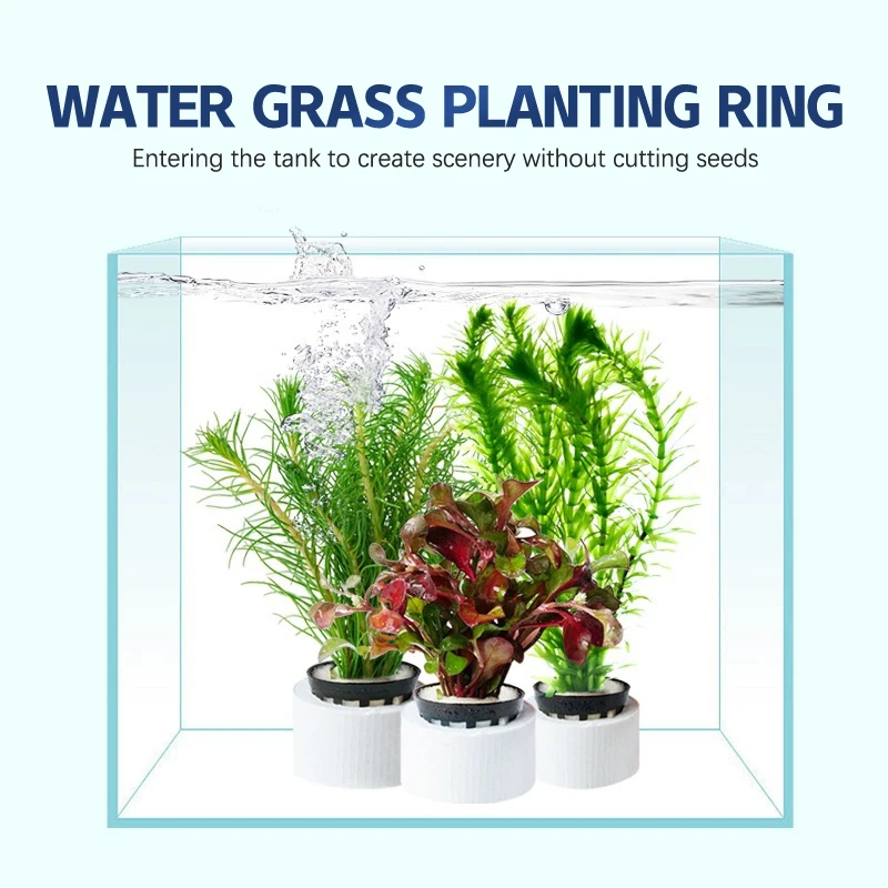 Aquatic Plants Fixed Ring Fish Tank Plants Fix Basket Aquarium Accessories Aquarium Landscape Decoration Water Grass Fixed Cup