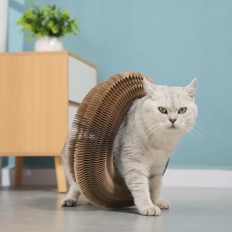 Cat Toy Pet Toys Cat Scratch Mat Magic Organ Cat Toy Cat Scratcher Toy Scratch Board With Bell Climbing Frame Corrugated Paper Resistant Nest