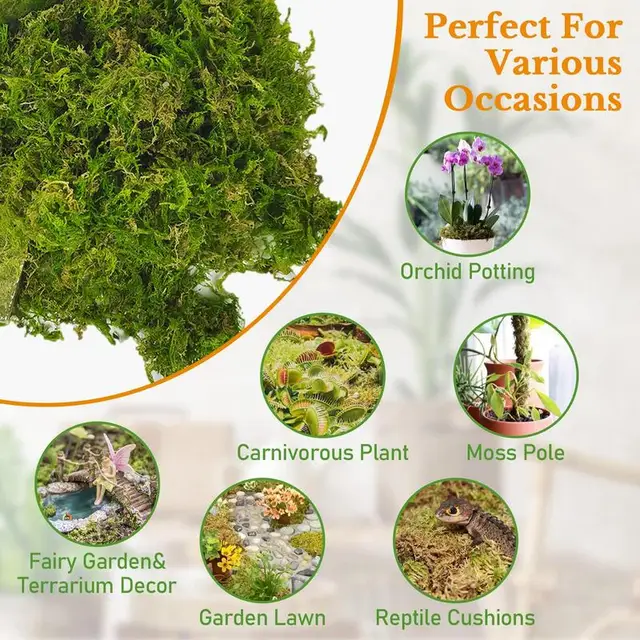 Növényi Sphagnum Moha 150 G Természetes Cserepes Keverék Táplálkozás Szerves Műtrágya Talajnövény Növekedése Diy Virág Edény - Image 5