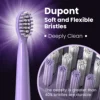 SEJOY Oral Cleaning Sonic Electric Toothbrush Personal Care Appliances IPX7 3 Modes Smart Rechargeable Automatic Toothbrush 2
