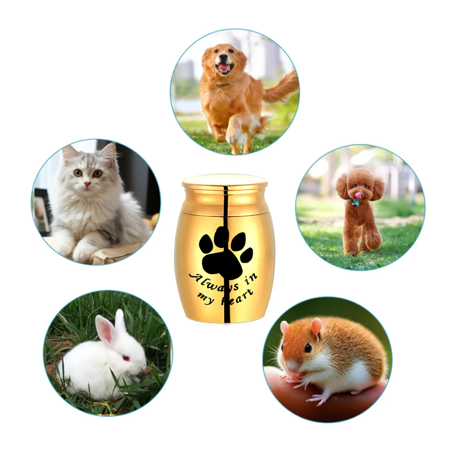 Dog Paw Keepsake Urn for Ashes Stainless Steel Pet Memorial Container Metal Decorative Cremation Urn for Dog Remains 6