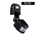 DC12V Black
