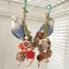 Parrot Supplies Cage Bite Training Perch Tearing Toy String Bird Chewing Toy for Parakeets Lovebird Budgie Cockatoos Conures 3