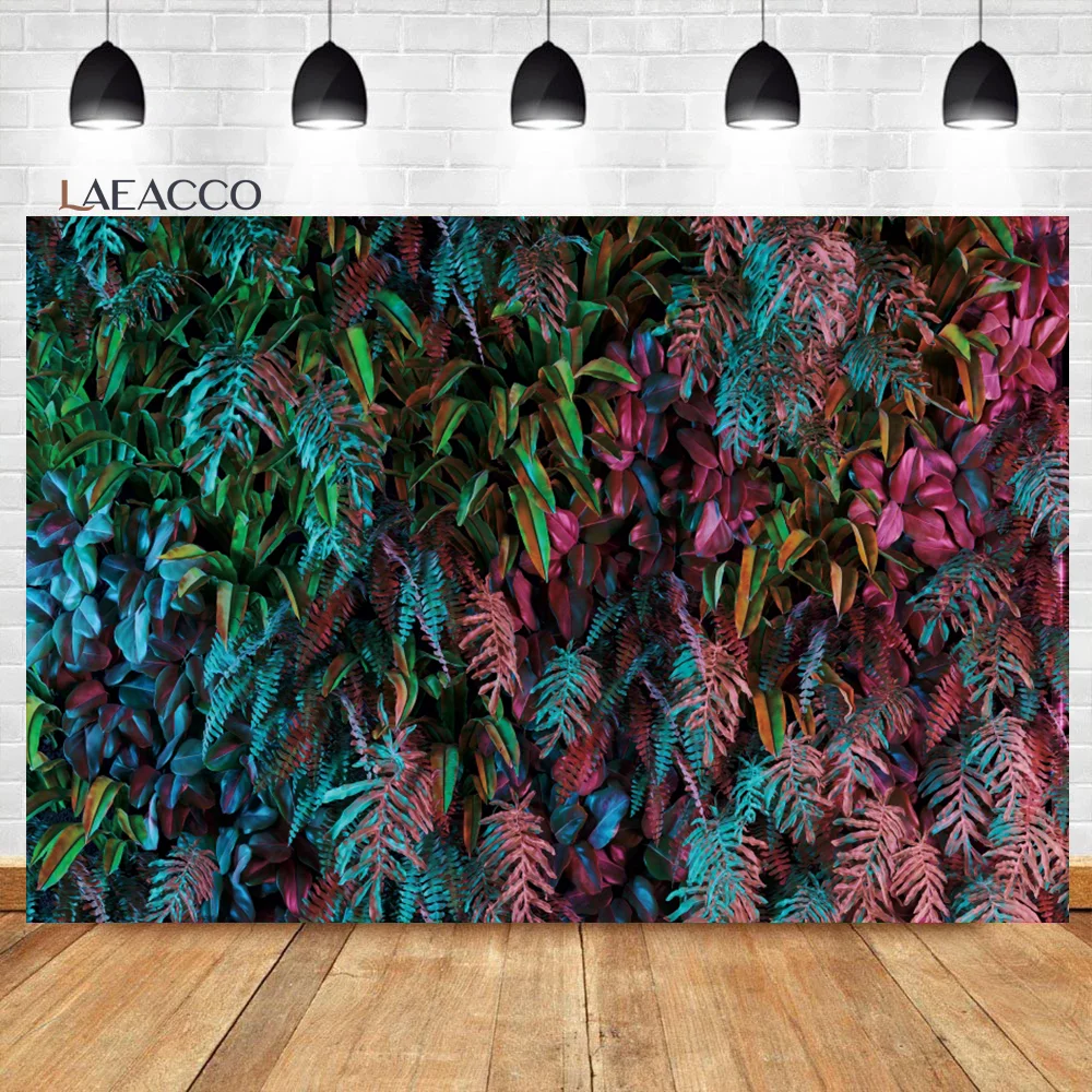 Laeacco    Ĺ,   ,  ,   