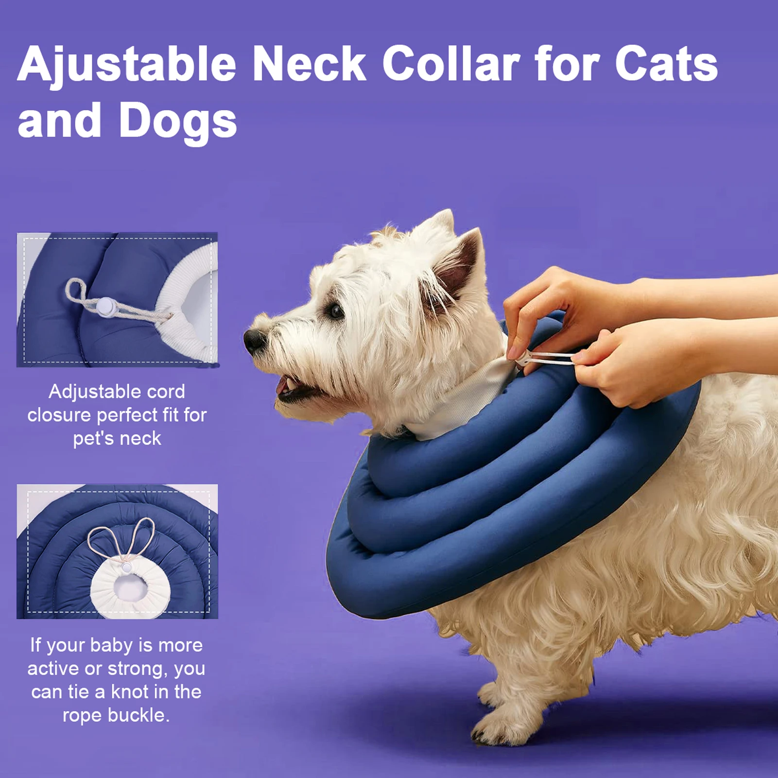 Can Dogs Sleep In E Collars