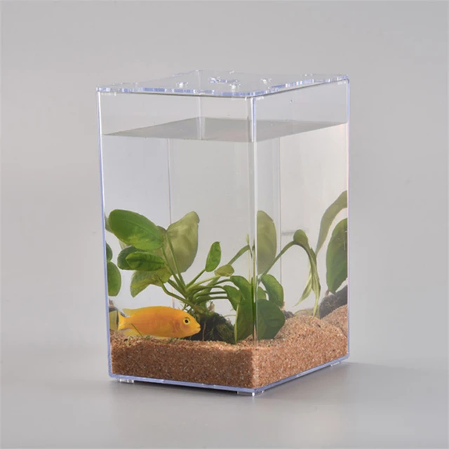 Mini Desktop Creative Fish Tank Acrylic Transparent Plastic Fish Box Simple  Ecological Tank Isolation Turtle Tank