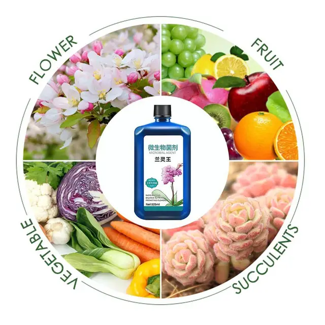 Növényi Tápanyagoldat Orchideák Növekedése Fokozó Kiegészítők Műtrágyák Virágzó Auxin Tápanyag -Folyadék Gyökereződés M8M4 - Image 4