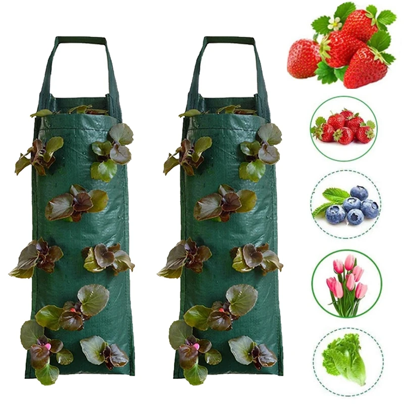 

Plant Grow Bags Pot Planter Wall Hanging Garden Strawberry Plant 4 6 8 10 Pockets Planting Bags Planter Pot Potato Veg Flower