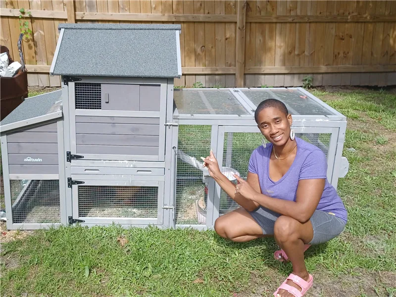outdoor chicken coop