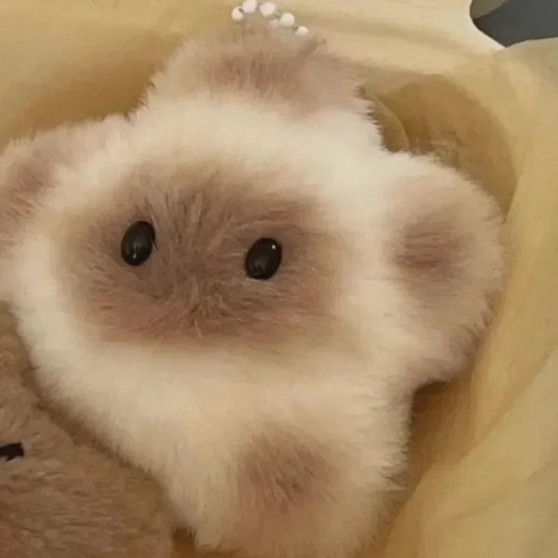 인형키링