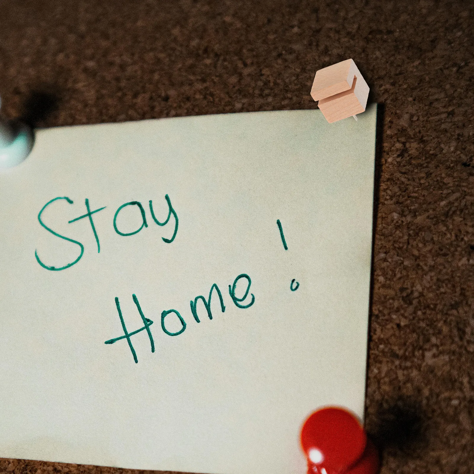 12개 나무 푸시핀 슬롯형 썸타크 코르크보드 게시판 지도 벽 사진 디스플레이 사무용품 장