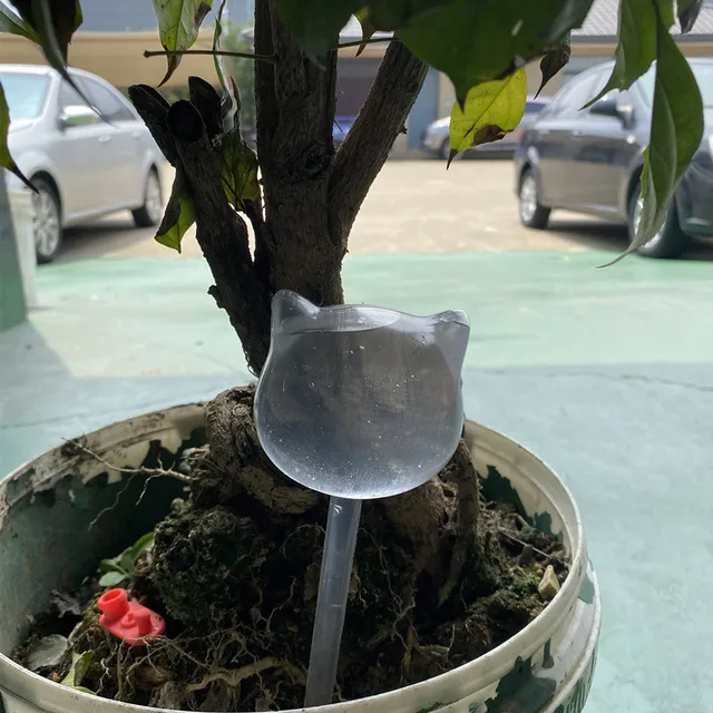 Image 19