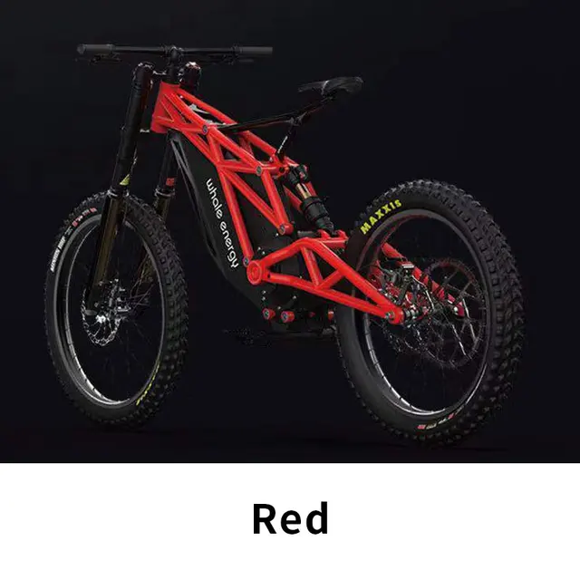 Whale Energy Surron Electric Dirt Bike 