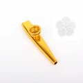 Y01013-Golden