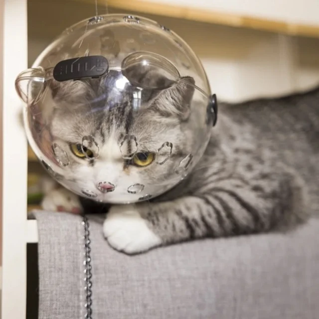 Breathable and Anti-Licking Space Hood Mask Cover for Cat Grooming - Protective Anti-Bite Hood for cat Bath Supplies and Groomin - Imagen 6