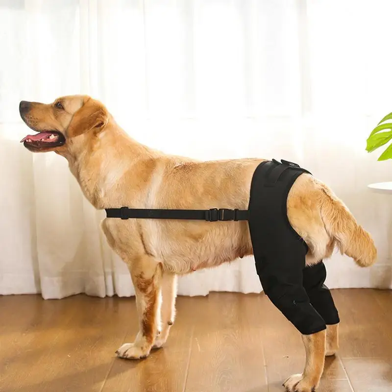 Dog Leg Support Brace Rear Leg Knee Brace Joint Support Dog Hip Brace Support Rear Leg Knee Brace Protect Wound Prevent Injuries