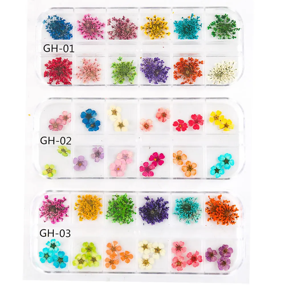 JCD 12 Grids 3D Dried Flowers Nail Art Decoration Real Natural Floral Sticker Designs Dry Flower Decals DIY Manicure Accessories 4