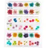 JCD 12 Grids 3D Dried Flowers Nail Art Decoration Real Natural Floral Sticker Designs Dry Flower Decals DIY Manicure Accessories 4