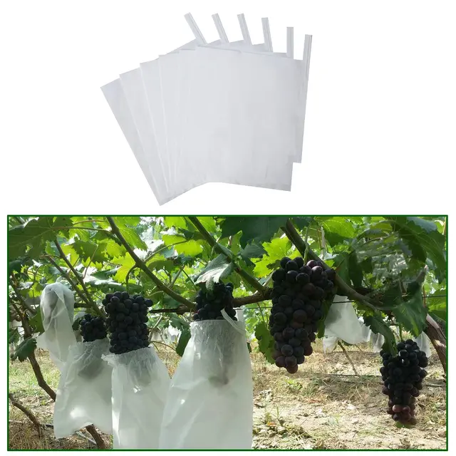 100Db Gyümölcsvédő Papírzacskók Őszibarack Szőlő Papírzsákok A Rovar Tasak Vízálló Kártevőirtás Ellen - Image 2