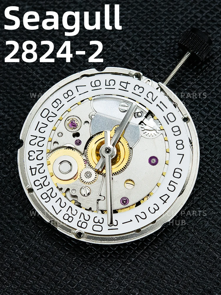 Sba088775dc22470bb64da9bdd9aa2
