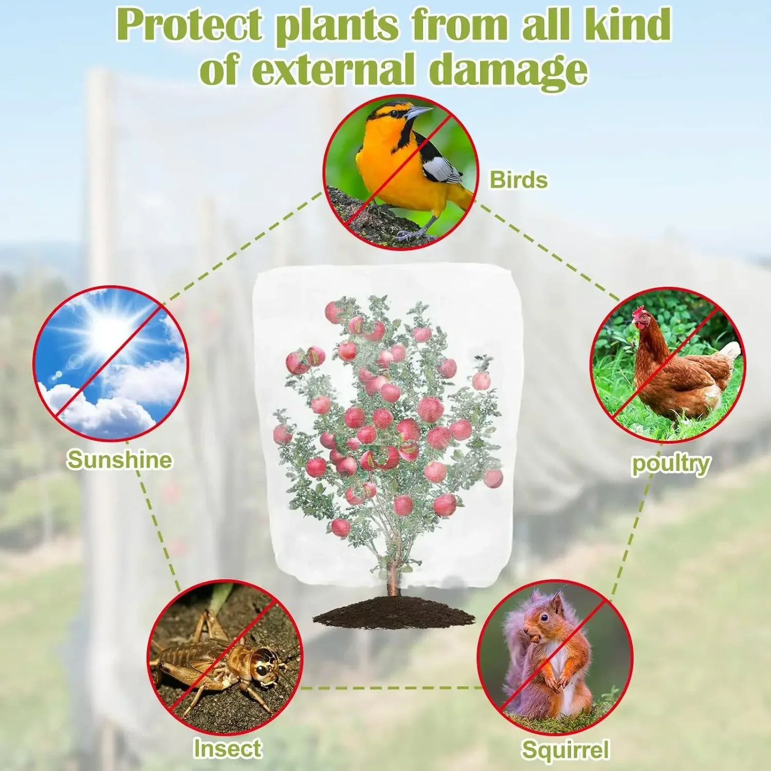 Description Picture 3 of itemGarden Plant Insect Netting Vegetable, Flower and Fruit Care Cover Netting Pest Control Bird-proof 60 Mesh Protective Netting