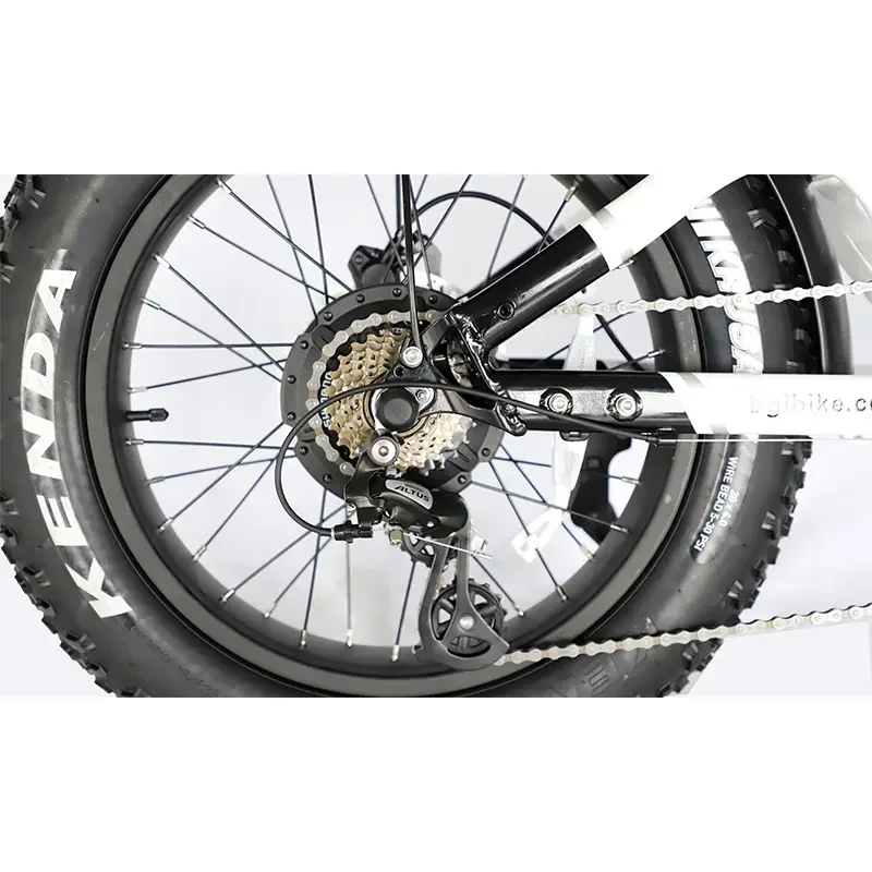 1000W Alloy Aluminum Fat Bike 7 Speed Ebike Off Road 20Inch Tires Mountain Bicycle Electric Bike Single Motor Electric Bikes