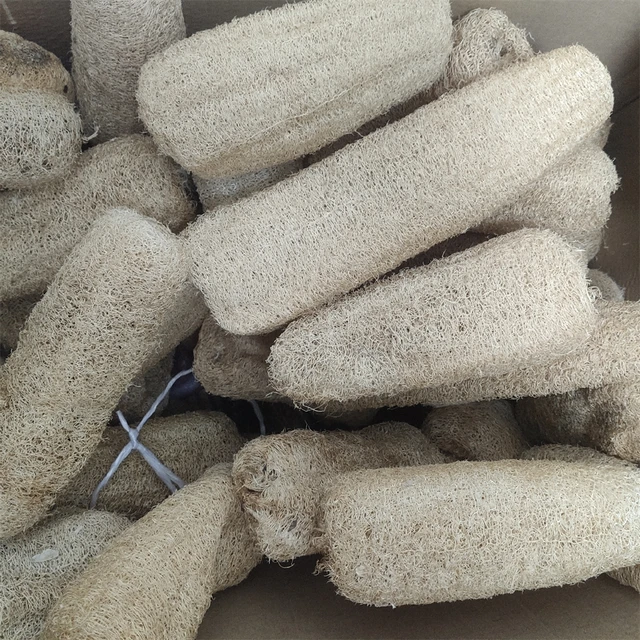 Full Loofah Natural Exfoliating Biodegradable Loofah Sponge