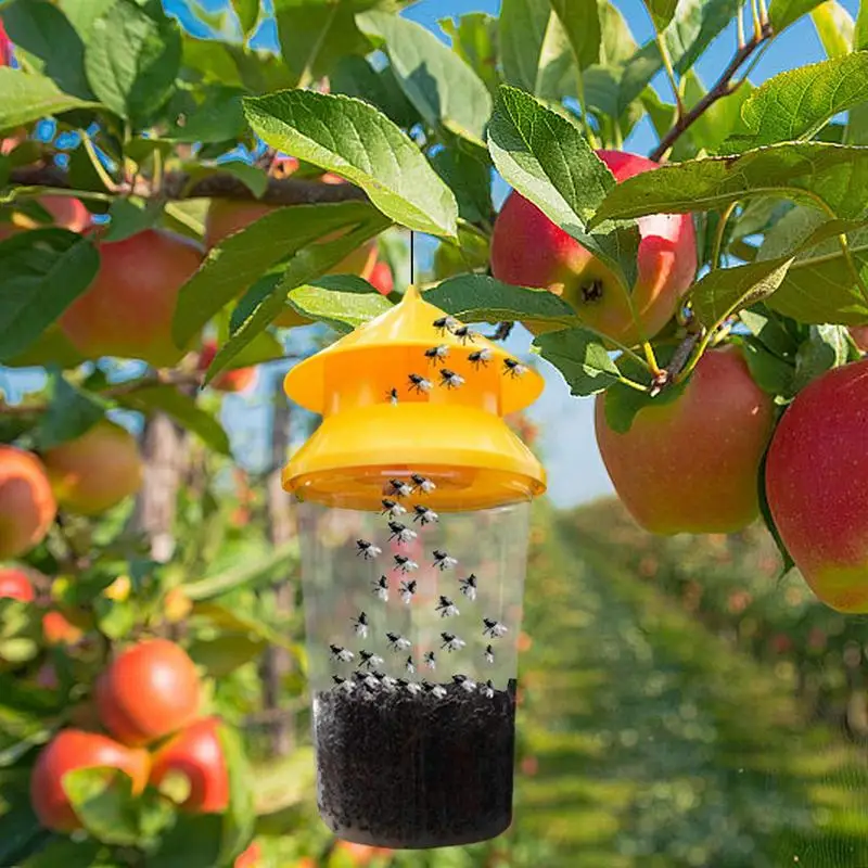 6 Trappole Mosche Esterno Riutilizzabili | 24x33 Cm Impermeabili | Per Frutteti E Giardini