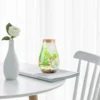 Diy Betta Bottle Micro Landscape Container Bryophyte Ecological Bottle Glass Terrarium Vases Home Decor Plant Pot Storage Jar 3
