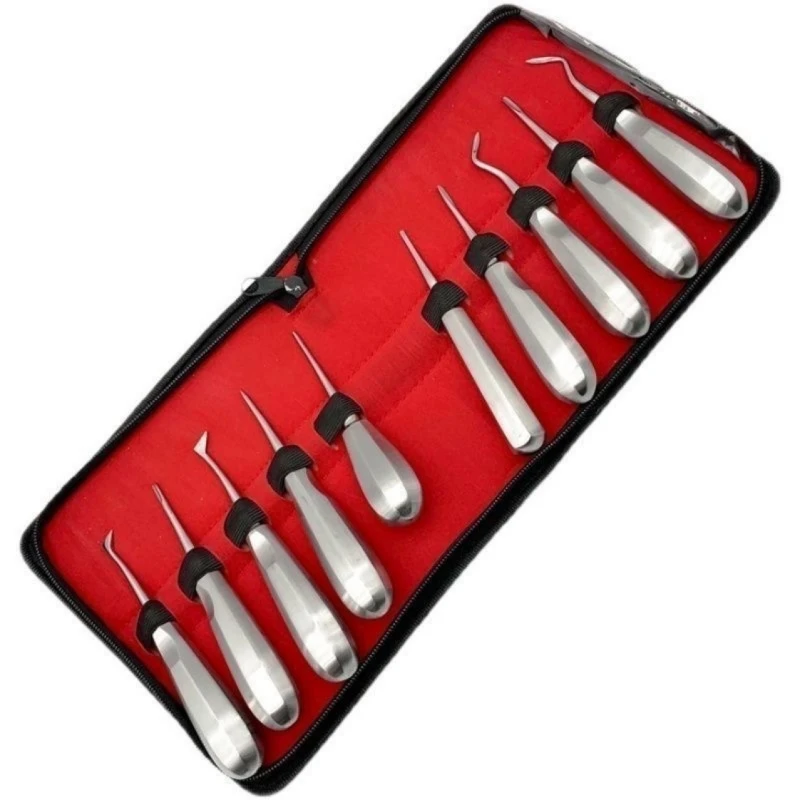 10 Stück/Set Zahnärztlicher Elevator aus Edelstahl Zahnextraktionszange Gebogener Wurzelheber Zahnmedizinisches Chirurgieinstrument