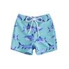 Cathery Kids Baby Little Boys Swimsuits Shorts Cartoon Dinosaur/Shark Print Bathing Suit Drawstring Swim Trunks Swimwear 6M-4T 4