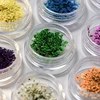 5Pcs/box 3D Dried Flowers Nail Art Decorations Dry Floral Bloom Stickers DIY Manicure Charms Designs For Nails Accessories 4