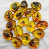 1PC DIY Hand Crafts Gift Insects Amber Gemstone Scorpion Natural And Mineral Stones Home Decoration 1
