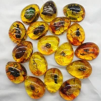 1PC DIY Hand Crafts Gift Insects Amber Gemstone Scorpion Natural And Mineral Stones Home Decoration 1