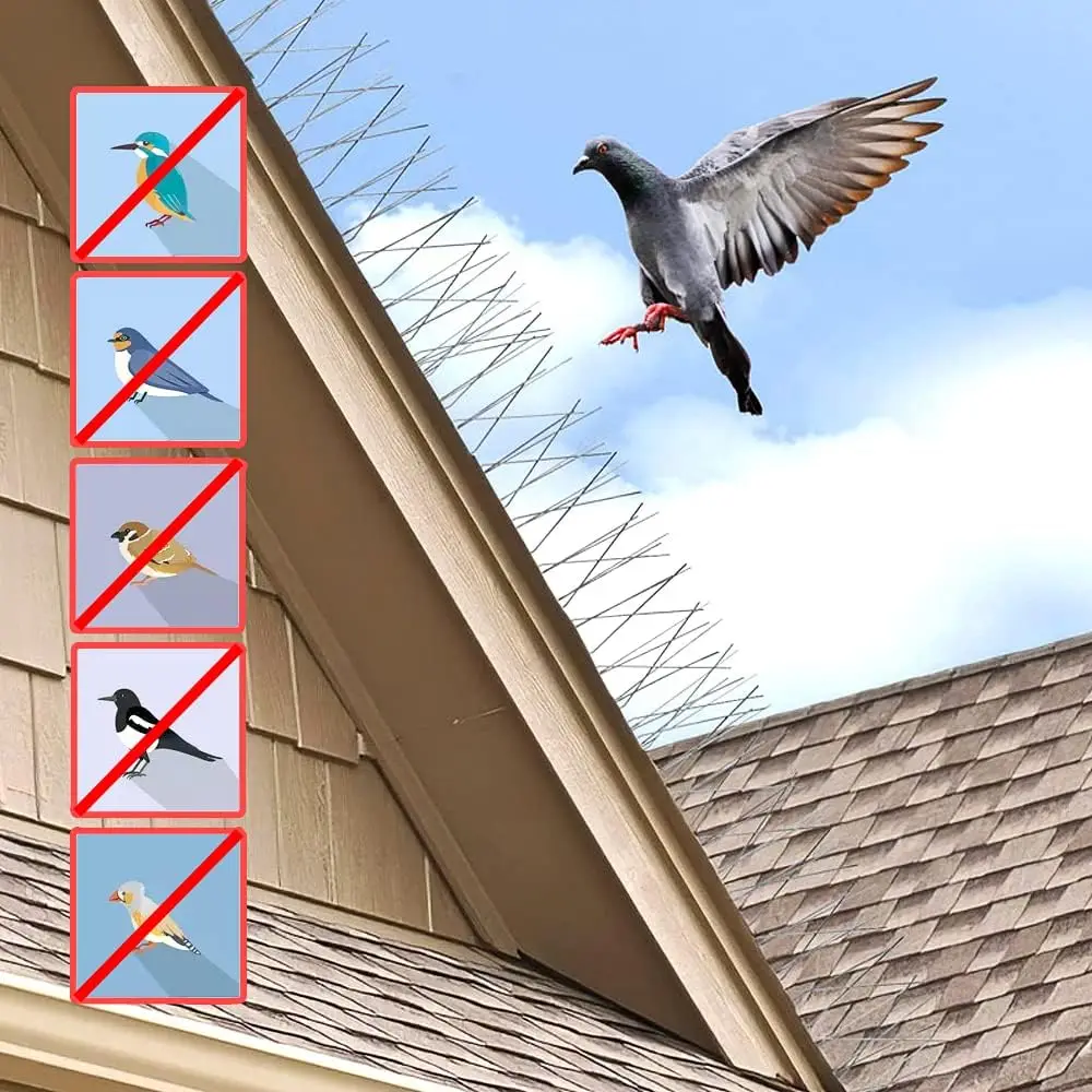 Outdoor Bird and Pest Repellent Spikes for Garden, Roof, and Balcony