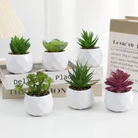 Artificial Succulent Bonsai Plants Simulation Succulents Mini Evergreen Bonsai Cactus Succulent Plastic Fake Plants Decor 3
