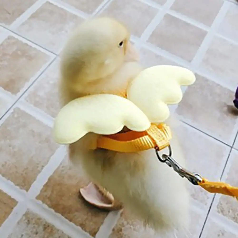 !!Wing Design Duck Harness Flexible Buckle Solid Color Long Rope Duck Harness Small Pet for Outdoor