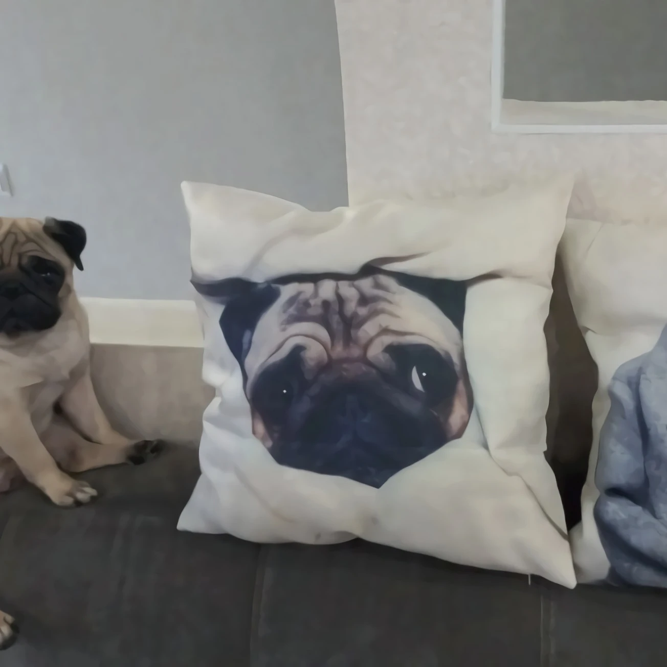 High Quality Pug Dog Cushion cover White Outdoor Cushions