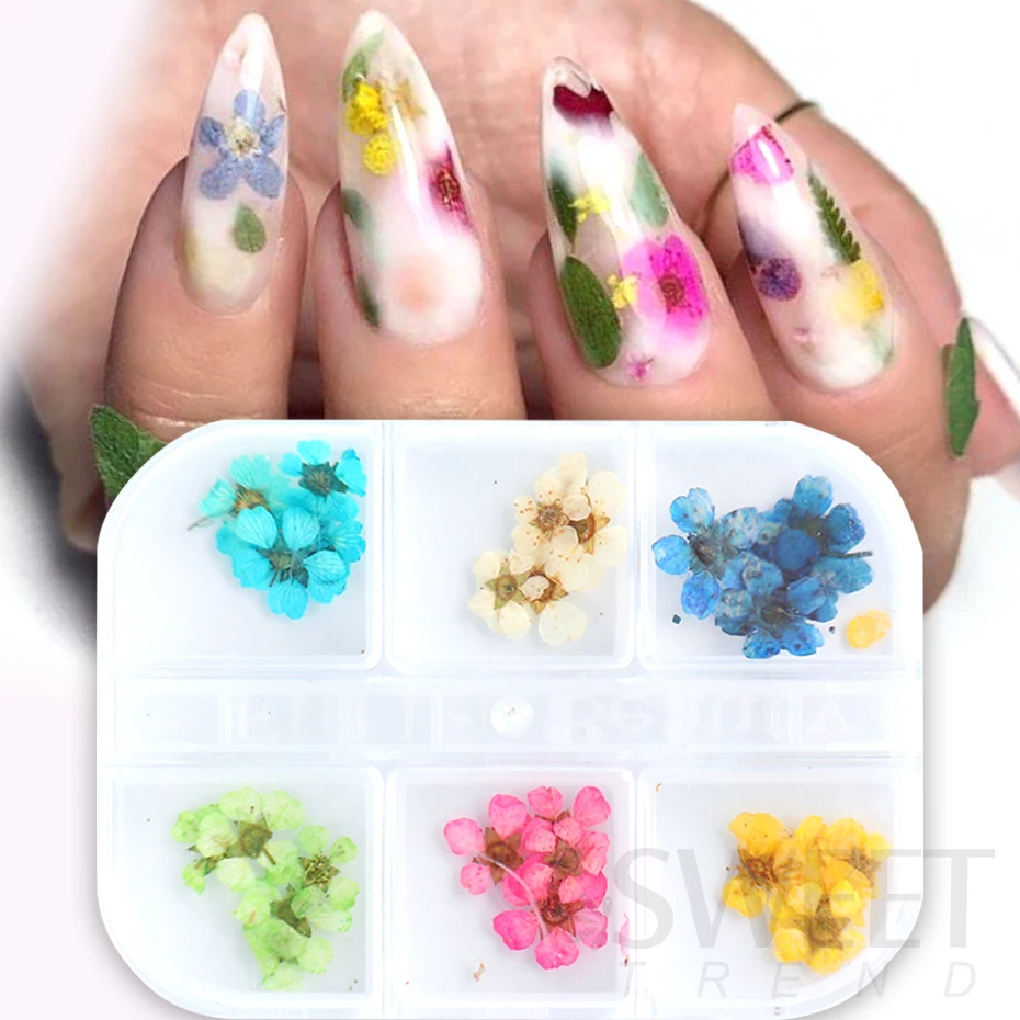 Dried Flowers Nail Art DIY Real Dried Flowers for Nail Decoration Art Craft  Making Jewellery Simulation Decoration Holiday - AliExpress