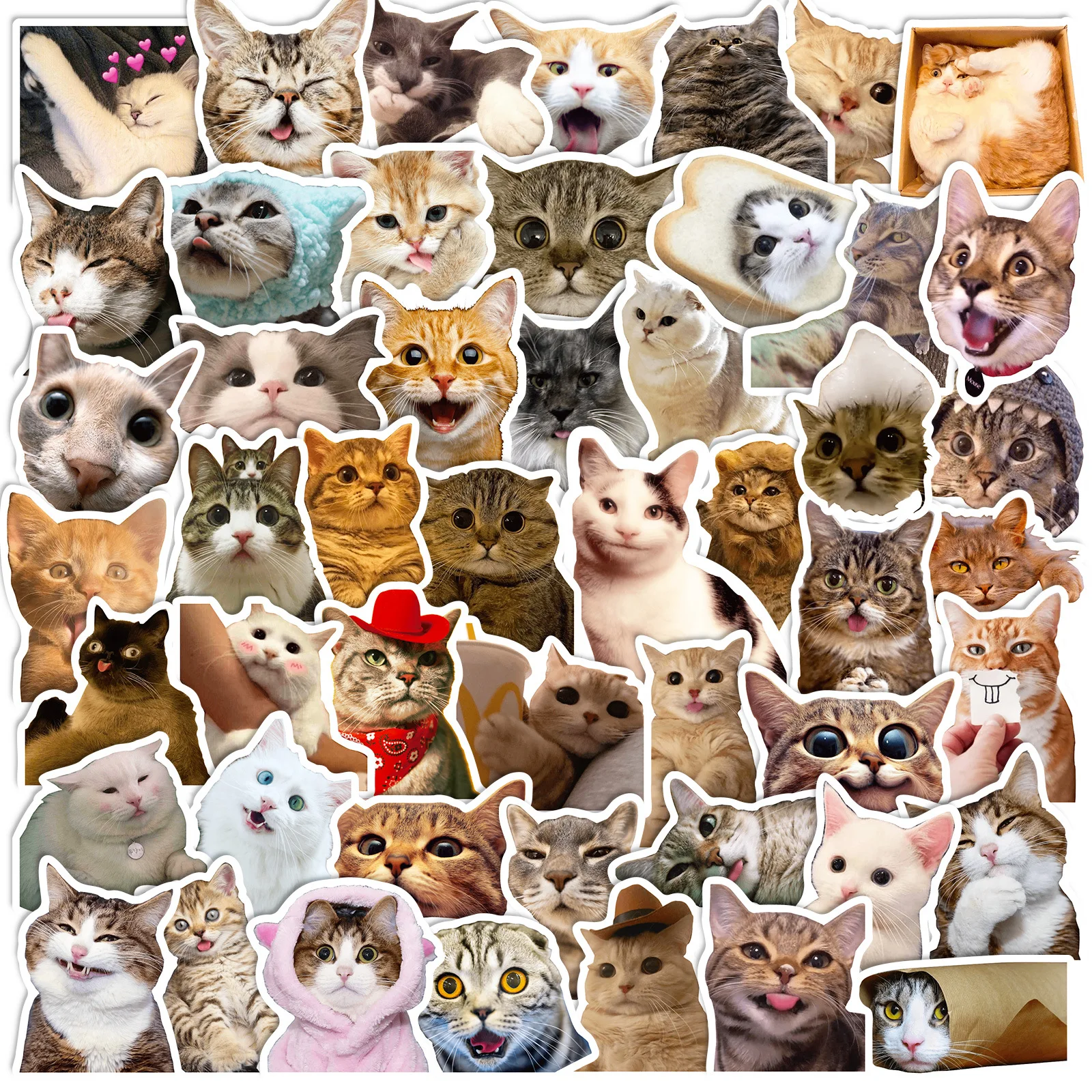 Cat stickers 50Pcs Funny Cat Stickers Adorable Kawaii and Colorful Decals Water Bottles Laptops and phone cartoon decoration stickers cartoon stickers