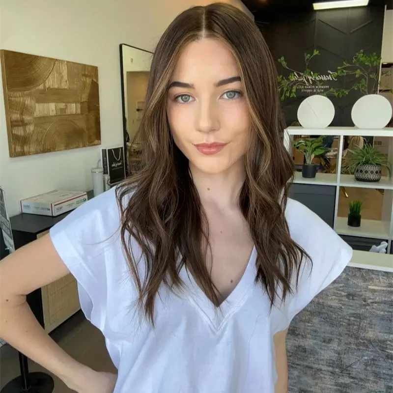 Glueless Lace Wigs Synthetic Lace Front Wigs Ombre Blonde Brown Colored Highlights HD Transparent Front Women's Wig