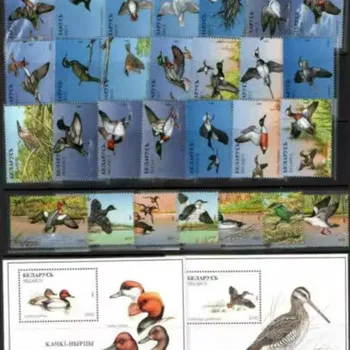 벨라루스, 1996, 새 우표, 정품 우표, MNH, 28 개 + 2 개