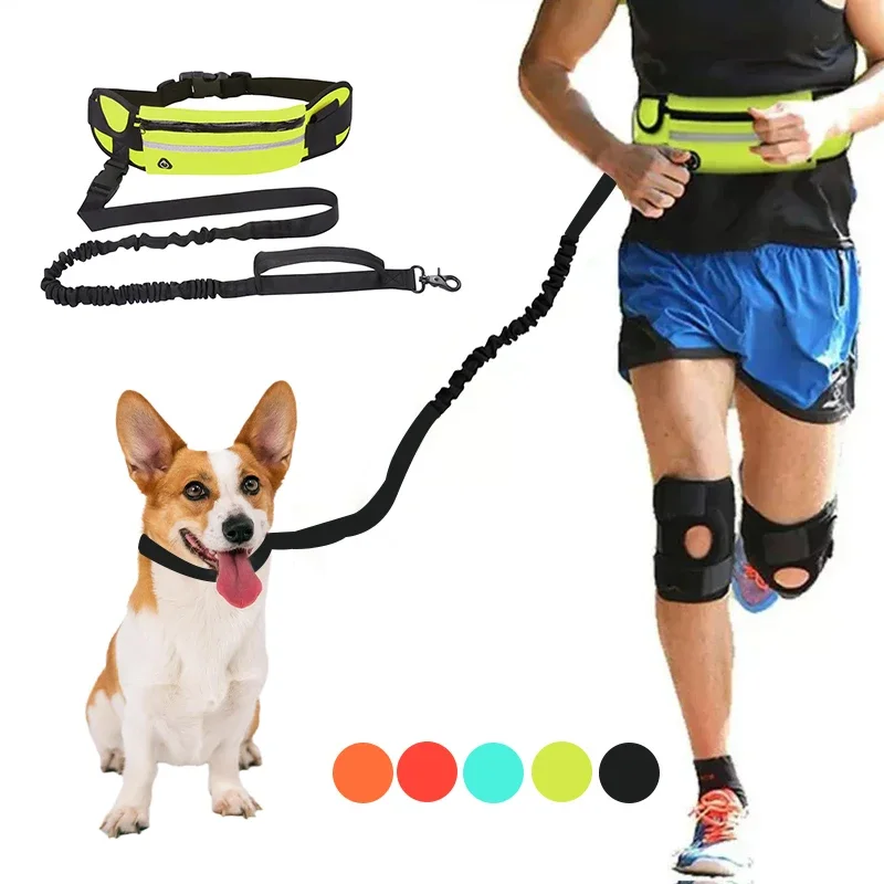 

Dog Traction Rope Hands Free Running Lead Leash with Waist Bag Reflective Adjustable Retractable Elastic Belt Collar Accessories