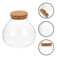 Round Glass Terrarium Creative Desktop Micro Landscape Bottle Plant Vase Home Decor Ecological Moss Crafts Empty Jar Mini Garden 1