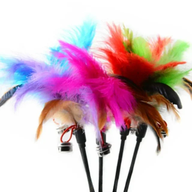 Feather Cat Teaser Wand 4